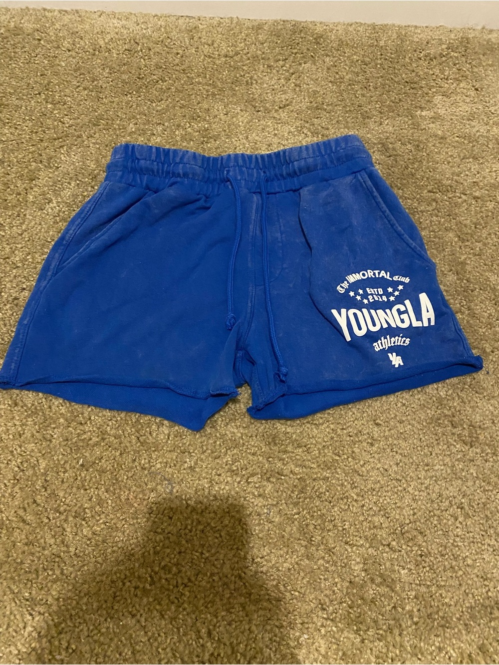 YoungLA Mens Small Blue Immortal Shorts